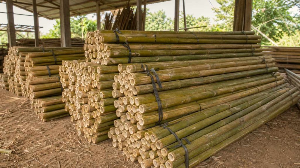 Tầm vông 7.5m gốc 6-7cm